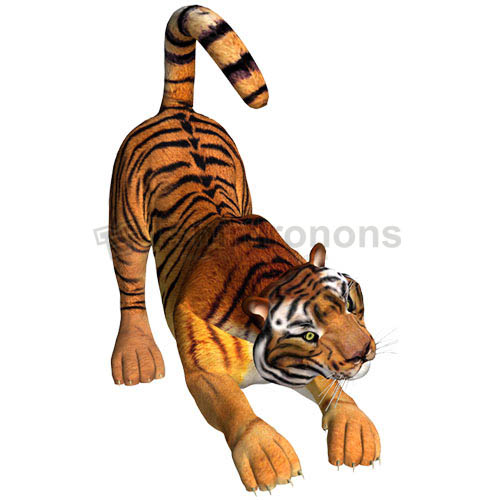 Tiger T-shirts Iron On Transfers N5620 - Click Image to Close